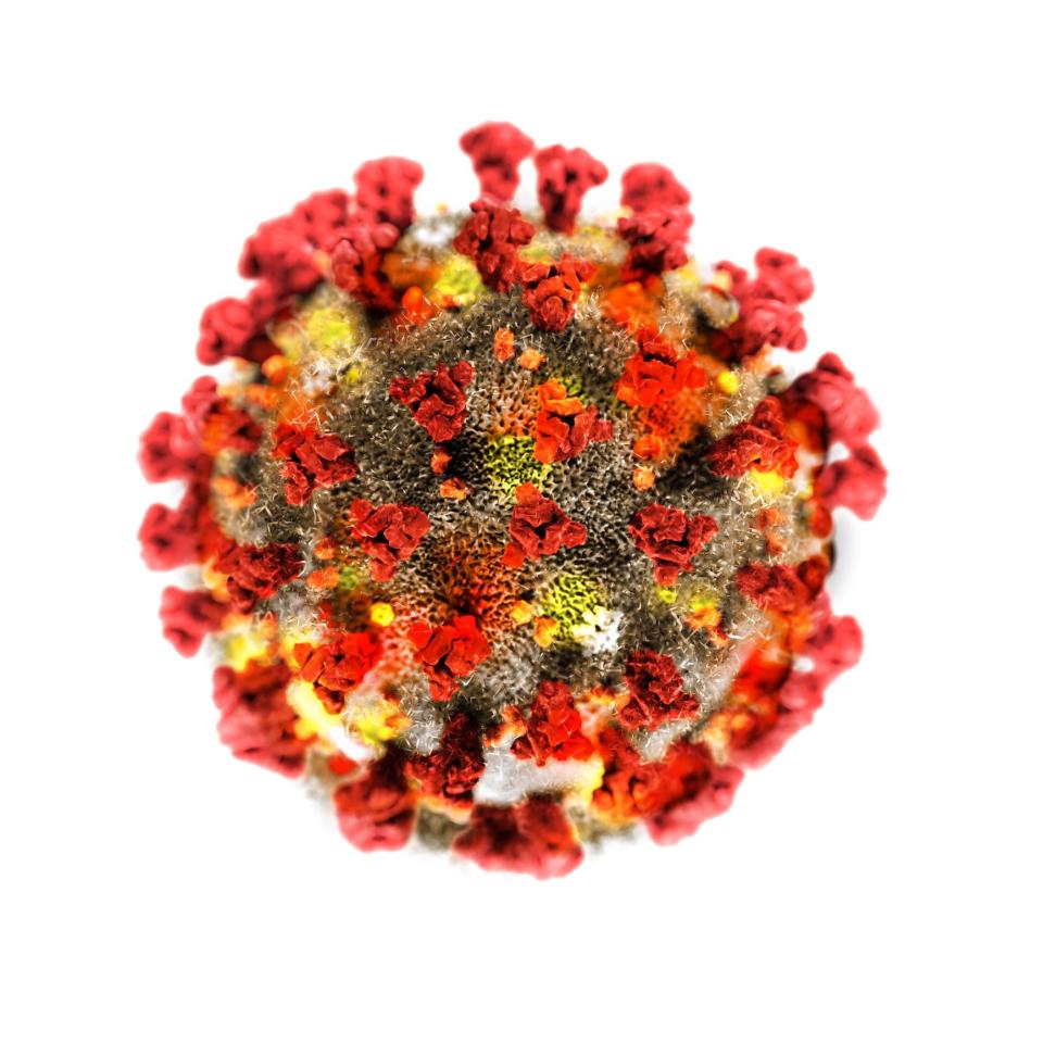 An illustration of a COVID-19 virus
