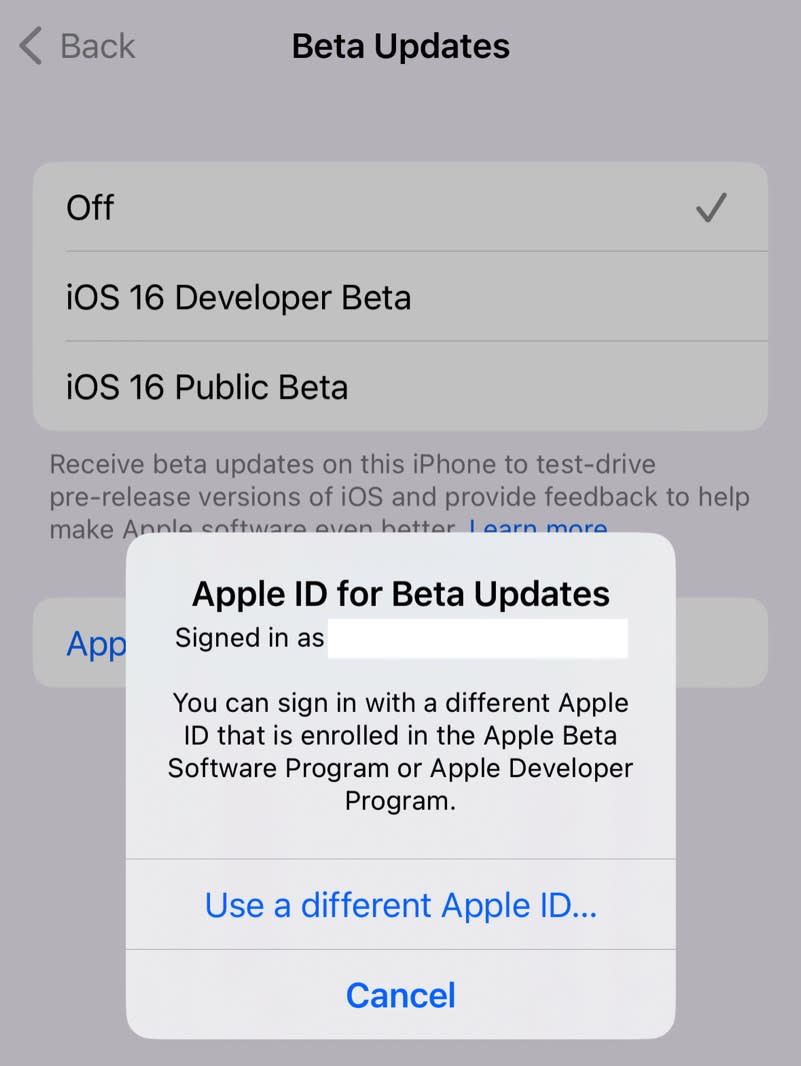 iOS 17 beta installs will be easier to manage.