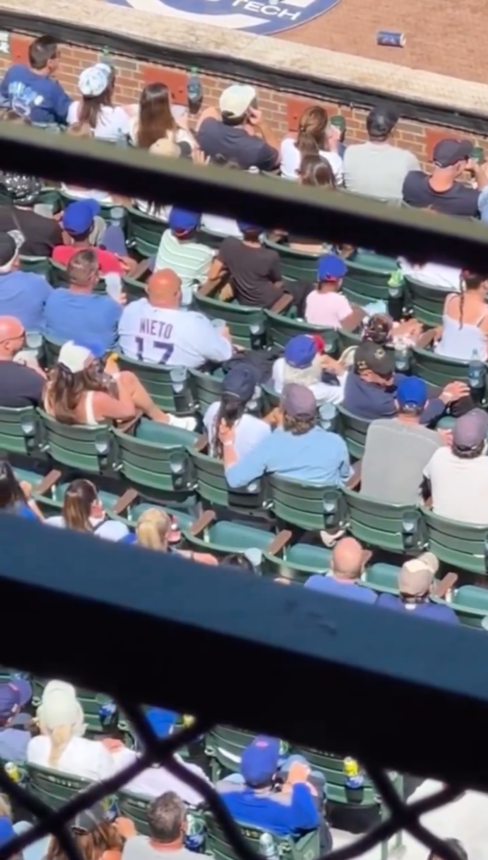 Fan captures Ayo Edebiri and Jeremy Allen White sitting close at baseball game (TikTok @whatever3165)