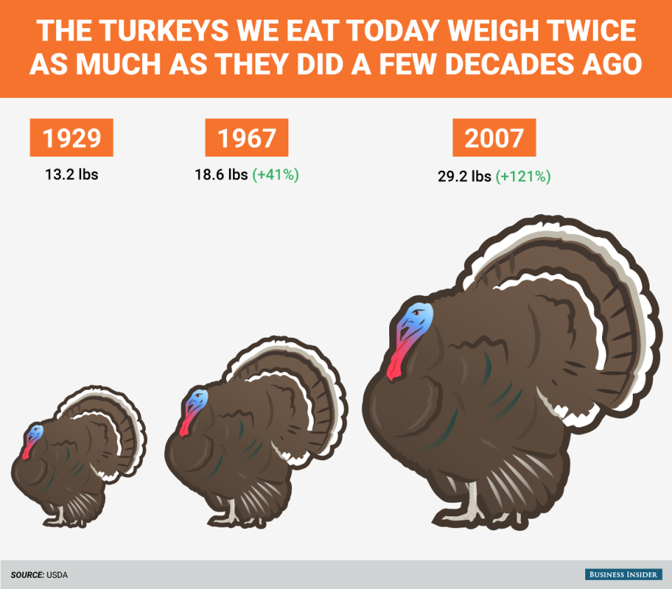 BI Graphic_Turkey Size