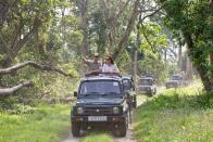 <p>While on a royal tour of India and Bhutan in 2016, Prince William and Kate Middleton enjoyed an open jeep safari in India's Kaziranga National Park.</p>