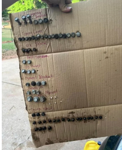 bolts and screws in cardboard