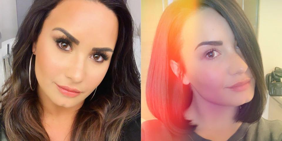 <p>Demi really embraced the idea of spring cleaning this year when she chopped multiple inches of her hair to create an adorable bob. The singer also dyed her hair darker in the process and the result is so gorgeous, I think I have to go make a hair appointment now. </p>