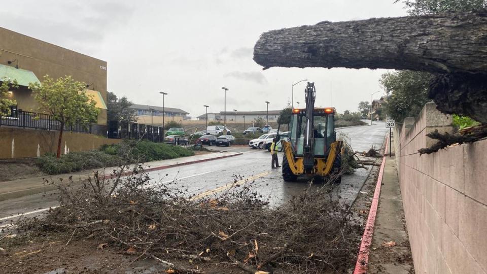 Arroyo Grande city crews clean up downed up downed cypress and olive trees at Camino Mercado and West Branch Street as an atmospheric river storm brings damaging winds to the area Feb. 4, 2024.