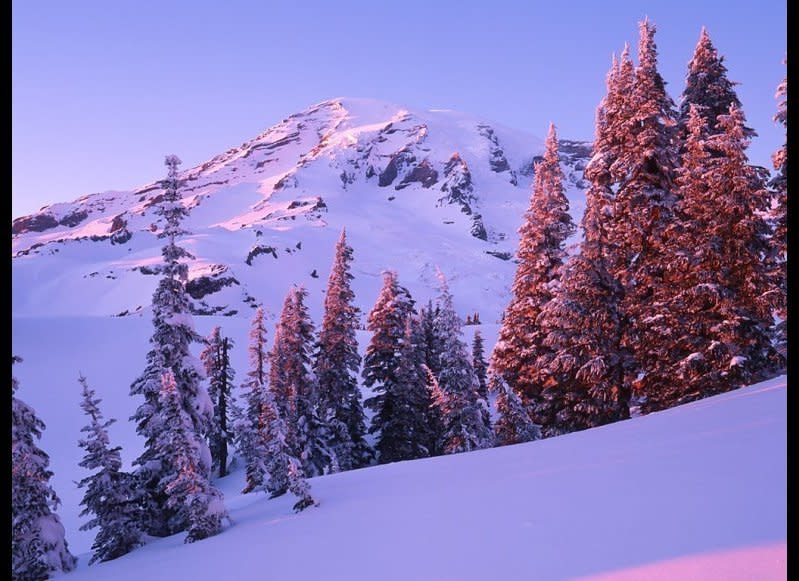 Oh, the irony. Paradise sees 56 feet of snow per year.  <em>iStockPhoto</em>