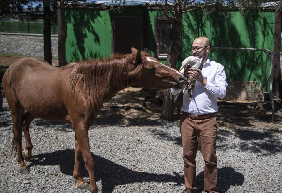 Hace cinco años el empresario se mudó a una casa con jardín en la periferia de Estambul, donde ahora cuida a casi un centenar de animales.