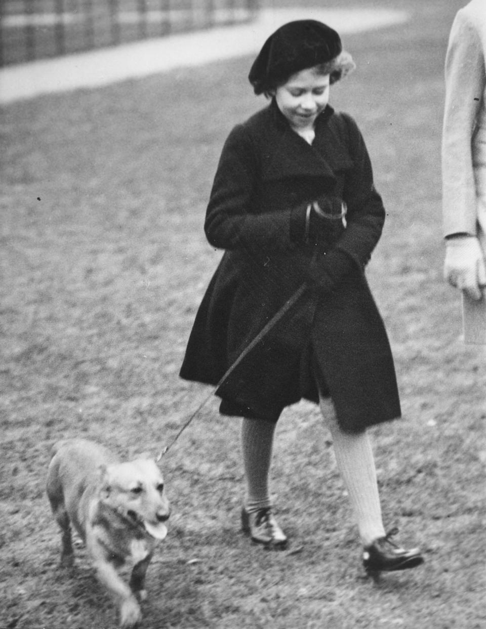 A young Queen Elizabeth walks with a corgi in 1936.