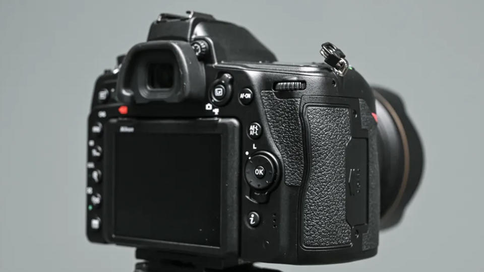 Nikon D780 review photo