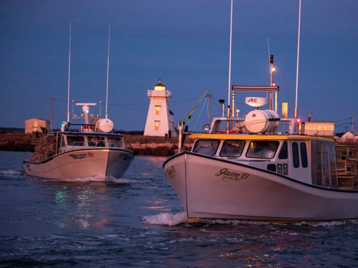 Prices for lobster licences can be different depending on the harbour where they are located.  (Brian McInnis/CBC - image credit)