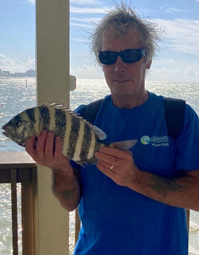 Kevin Smith of Flamborough, England caught this sheepshead while fishing at Big Pier 60 this week.