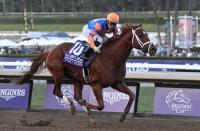 Horse Racing: 36th Breeders Cup World Championship