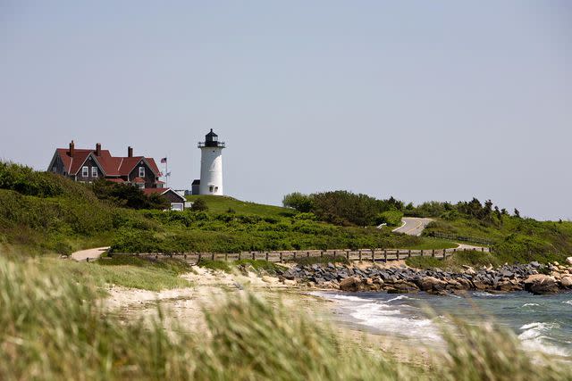 <p>capecodphoto/Getty Images</p>