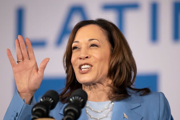 Vice President Kamala Harris, campaign finance experts agree, would be the easiest replacement for Joe Biden. 