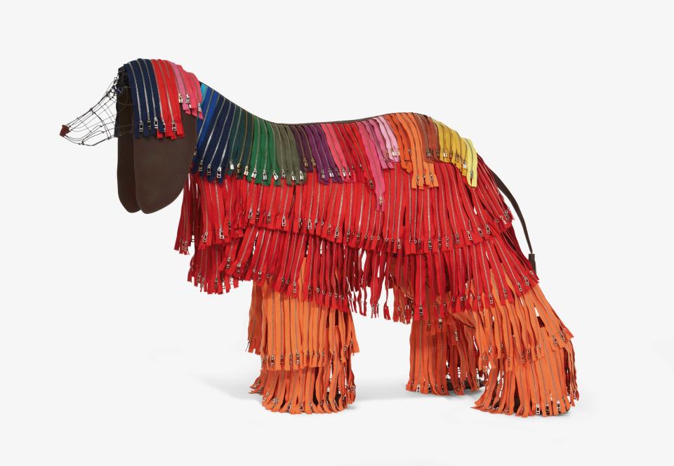 Zip dog. (PHOTO: Hermes)