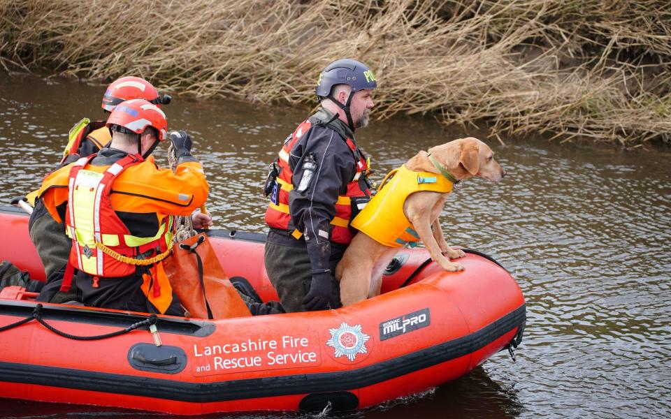 Searches have involved dogs, drones and divers - Peter Byrne/PA Wire