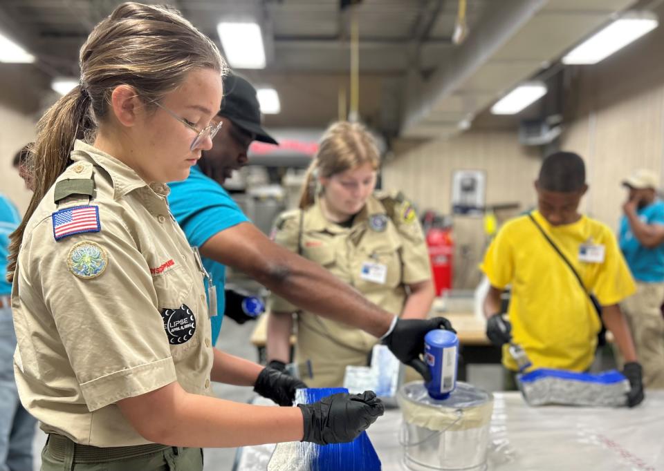 Ingalls Scout Merit Badge - Painting