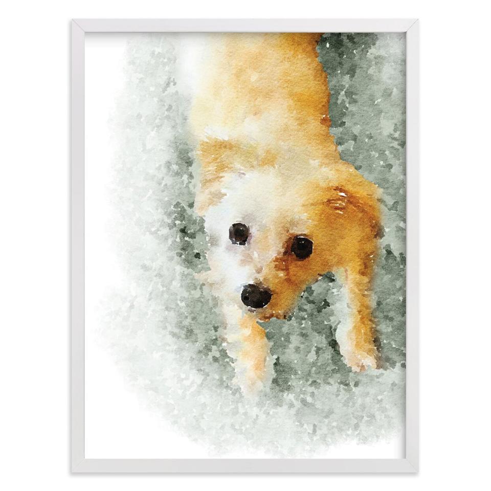 Watercolor style Custom Pet Portrait