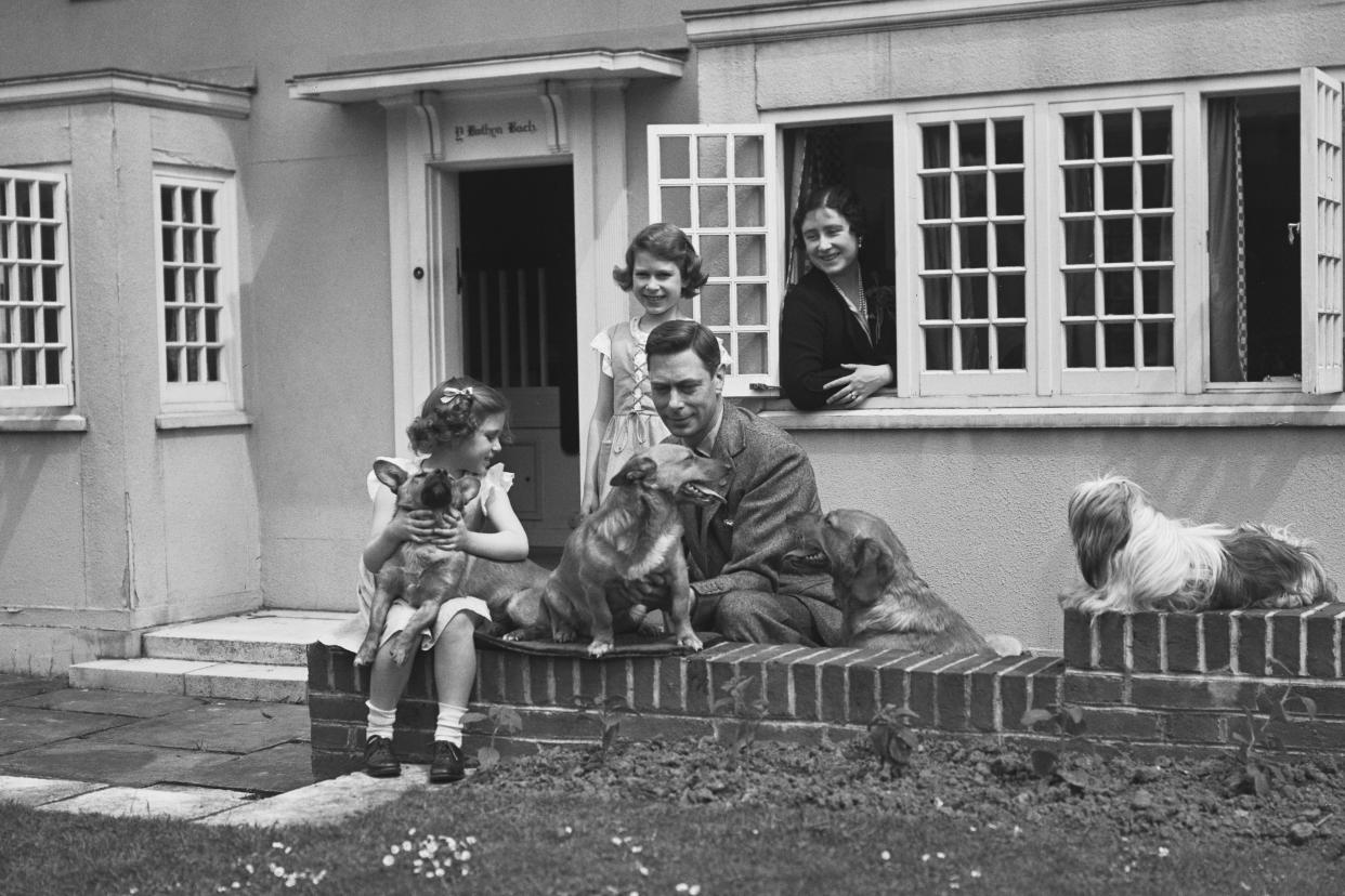 Royal Pets (Lisa Sheridan / Getty Images file)