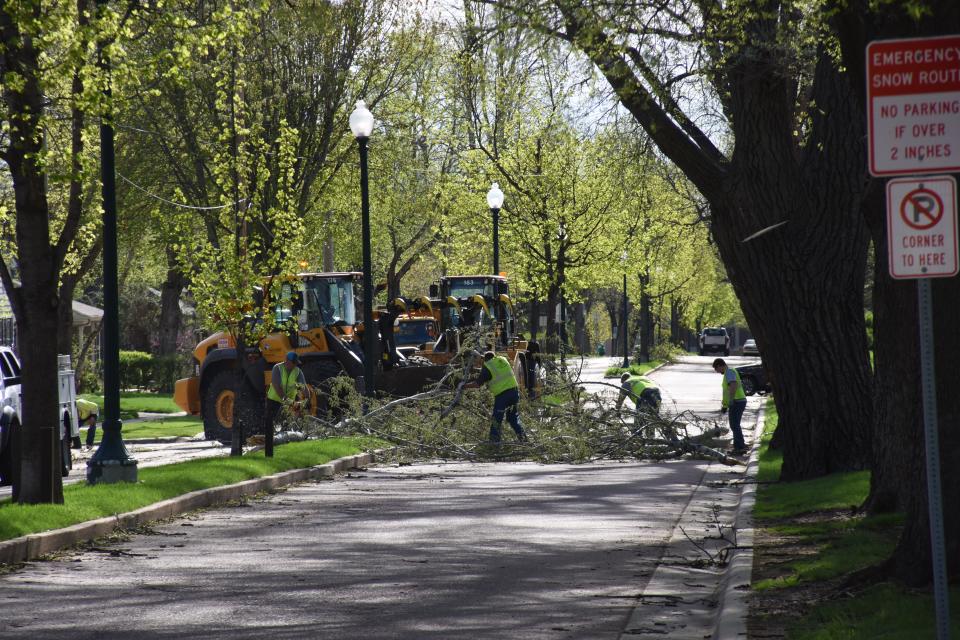 City of Sioux Falls Public Works Street Maintenance crews pick up trees that fell on 21st Street on the north end of McKennan Park on May 13, 2022, the day after a major storm.