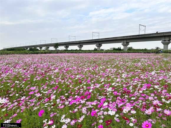 縣長王惠美期許藉由各鄉鎮市共同接續舉辦花海活動，結合地方產業特色，歡迎大家春遊彰化賞花海。（記者方一成攝）