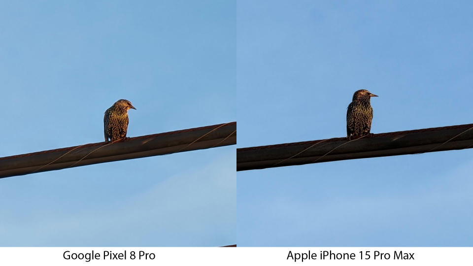 Pixel 8 Pro vs iPhone 15 Pro Max 5Xx zoom test - cropped images