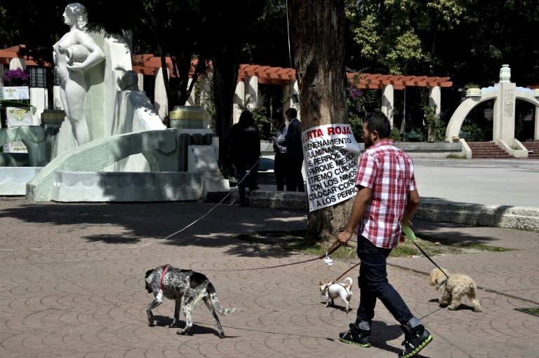 A man walks his dogs in front of a banner advising of a red alert due to dog poisoning, at Parque Mexico in Mexico City on October 7, 2015