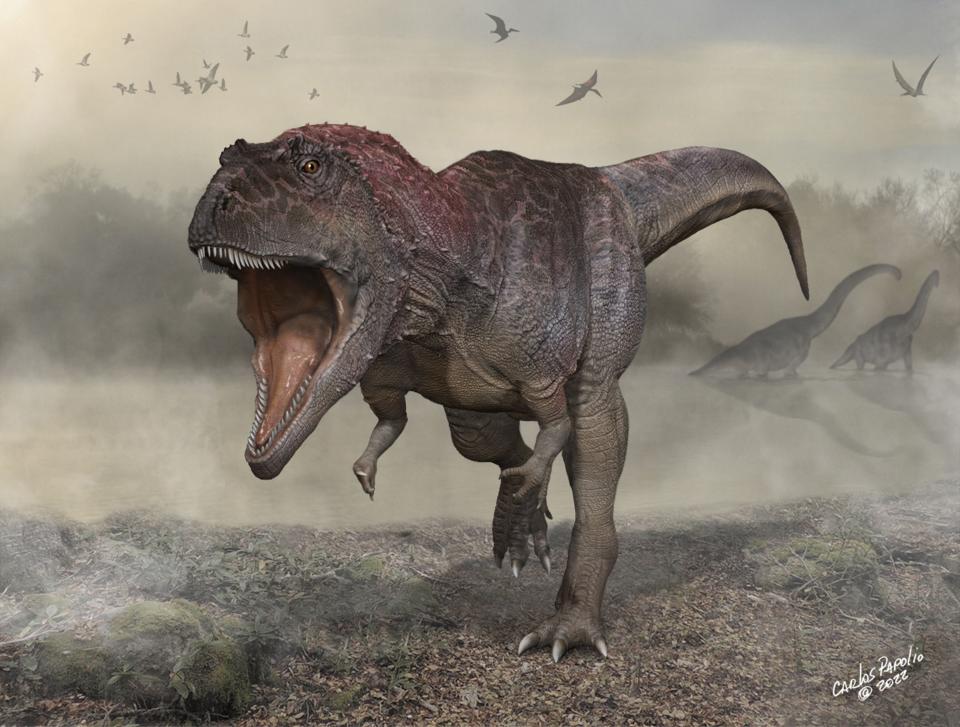 Paleontologists said on July 7, 2022, they had discovered a new giant carnivorous dinosaur species named Meraxes gigas that had a massive head and tiny arms, just like Tyrannosaurus rex.