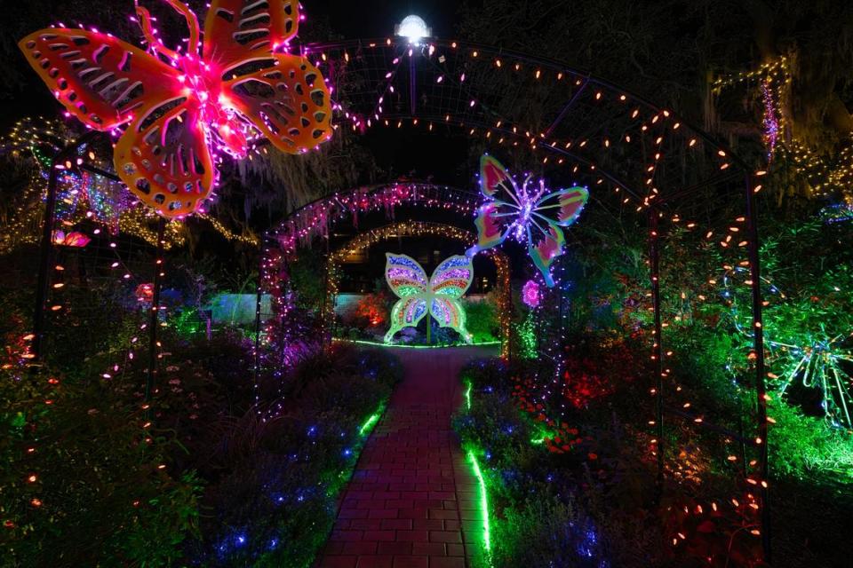 Marie Selby Botanical Gardens’ annual holiday light spectacle, “Lights in Bloom,” returns from Dec. 8 2023 to Jan. 4, 2024.
