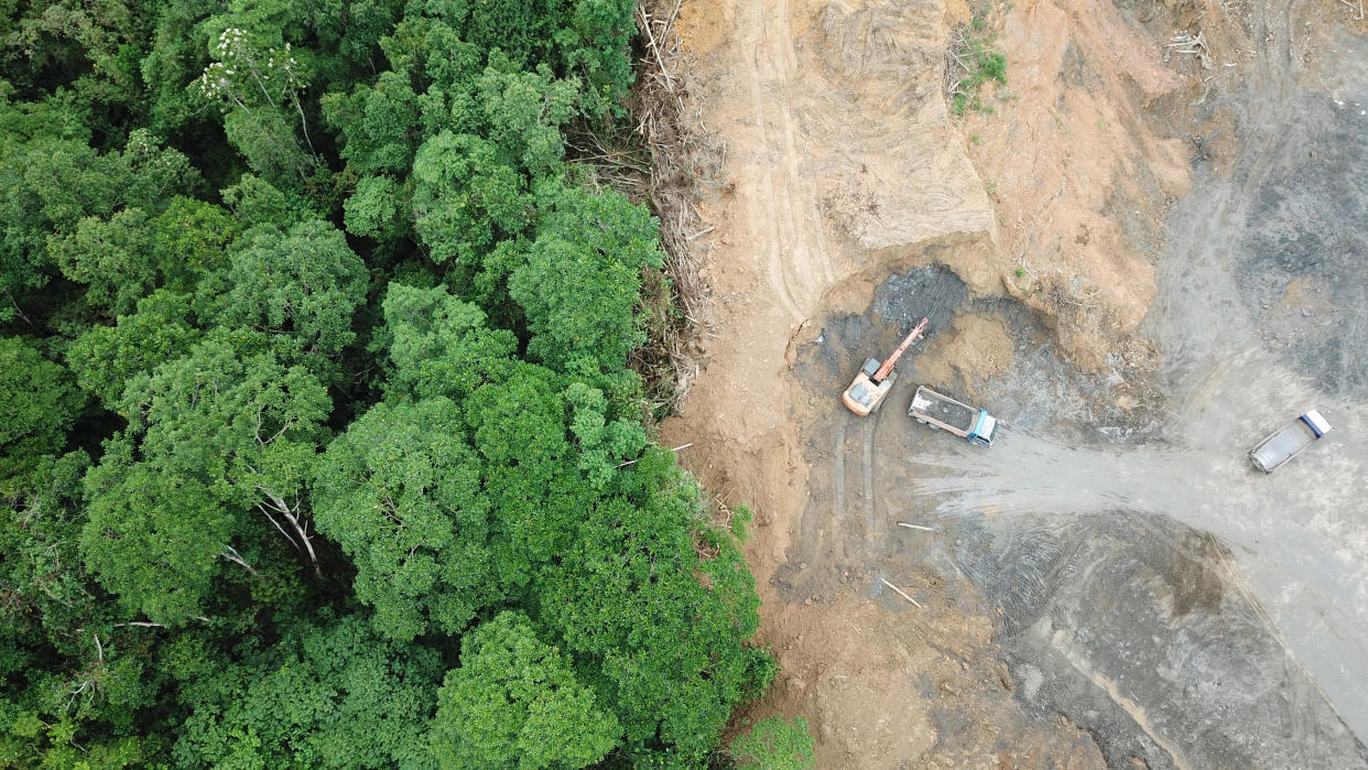 Logging. Aerial drone view of deforestation environmental problem in Borneo