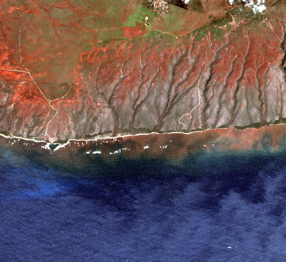 In this undated 2020 satellite image provided by the Arizona State University's Center for Global Discovery and Conservation Science, Allen Coral Atlas, runoff from the island of Molokai in Hawaii is shown flowing into the ocean. Axis deer, a species native to India that were presented as a gift from Hong Kong to the king of Hawaii in 1868, have fed hunters and their families on the rural island of Molokai for generations. But for the community of about 7,500 people where self-sustainability is a way of life, the invasive deer are a cherished food source but also a danger to the island ecosystem. Now, the proliferation of the non-native deer and drought on Molokai have brought the problem into focus. Hundreds of deer have died from starvation, stretching thin the island's limited resources. When deer devour fruits, vegetables and other plants, it leads to to erosion and runoff into the ocean that alters the island's coral reef— another important food source. (Arizona State University's Center for Global Discovery and Conservation Science, Allen Coral Atlas via AP)