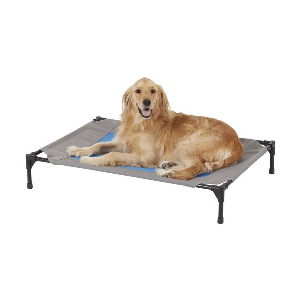K&H Pet Products Coolin' Cot Elevated Dog Bed