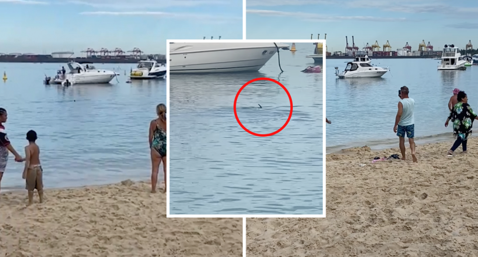 A close-up photo, centre shows the shark's fin at La Perouse beach. Two other images show people watching from the beach.