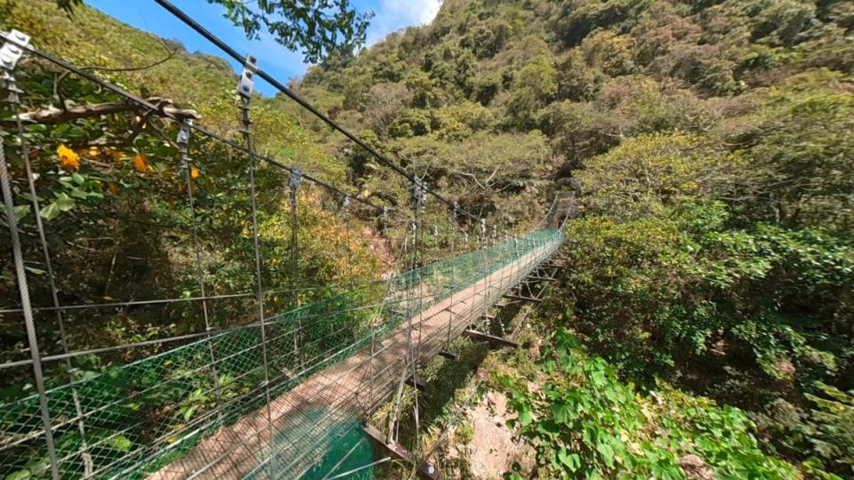 獨立山步道內吊橋為遊客必訪景點。   圖：嘉義林區管理處／提供