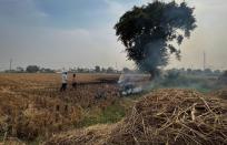 Farmers burn crop stubble in a rice field at a village in Fatehgarh Sahib district