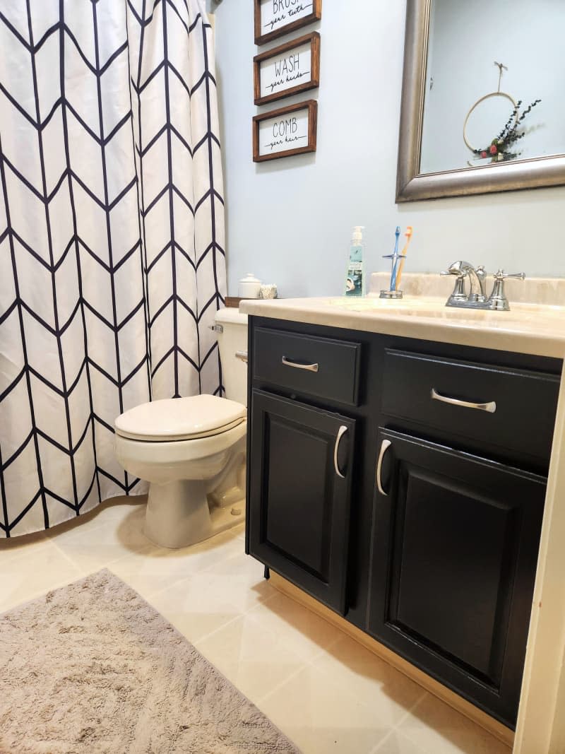 zig zag black and white shower curtain, black cabinet under sink, light blue walls, silver mirror above sink, beige rug