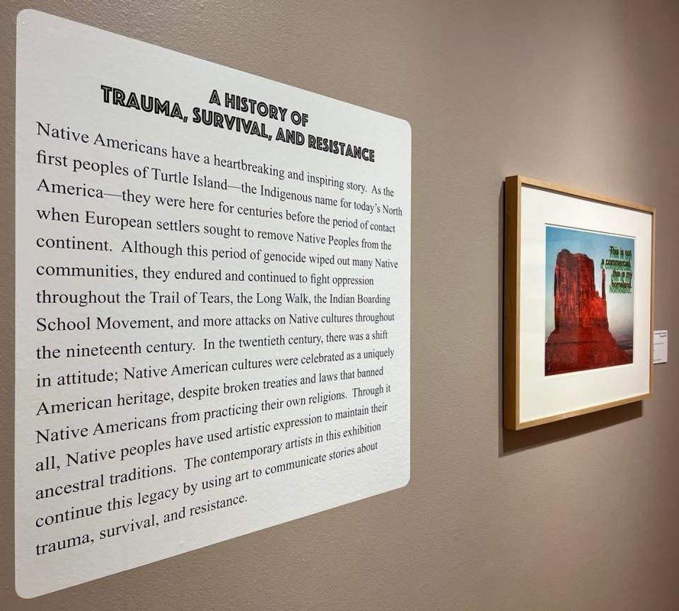 "Un-settling: A Story of Land Removal and Resistance" is a new exhibit at the Massillon Museum on display through May 22. The work of eight Native American artists are featured.