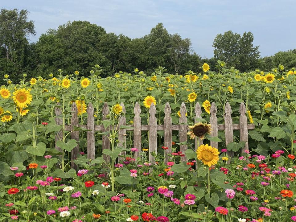 Thistleberry Farm in South Bend, Indiana