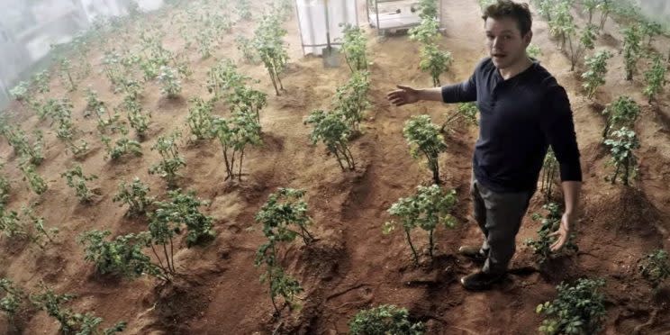 Mark Watney (played by Matt Damon) shows off his potato crop in The Martian ((20th Century Fox))