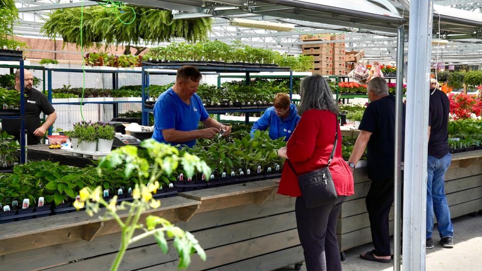 People browse the offerings at the Robinson Greenhouses stall at the Parkdale Market on May 10, 2024, one day ahead of the official launch of the market's 100th season.            