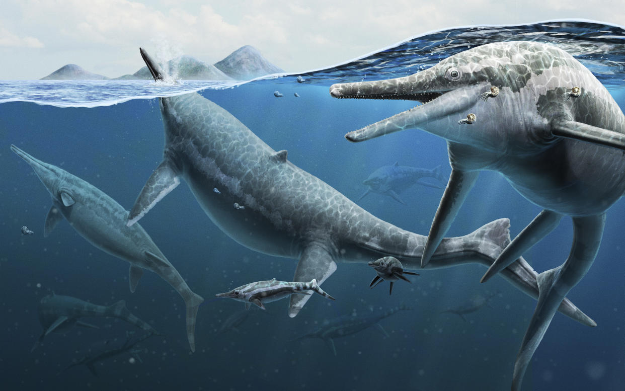 This illustration provided by the Smithsonian National Museum of Natural History in December 2022 depicts a group of adult and newly born Triassic shonisaurus ichthyosaurs. (Gabriel Ugueto/NMNH via AP)