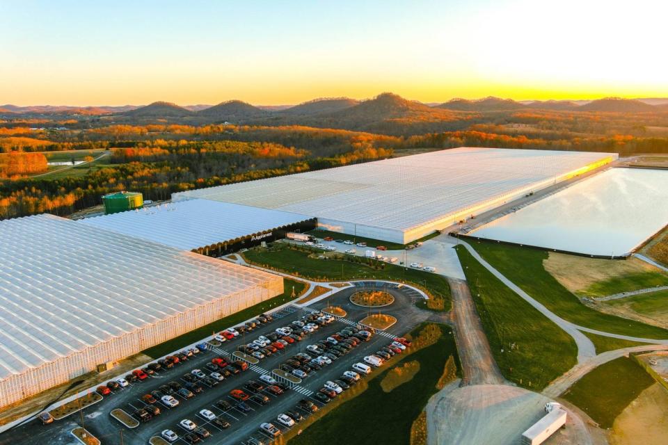 AppHarvest&#39;s flagship 2.76-million-square-foot CEA farming facility in Morehead, Kentucky. (AppHarvest) 