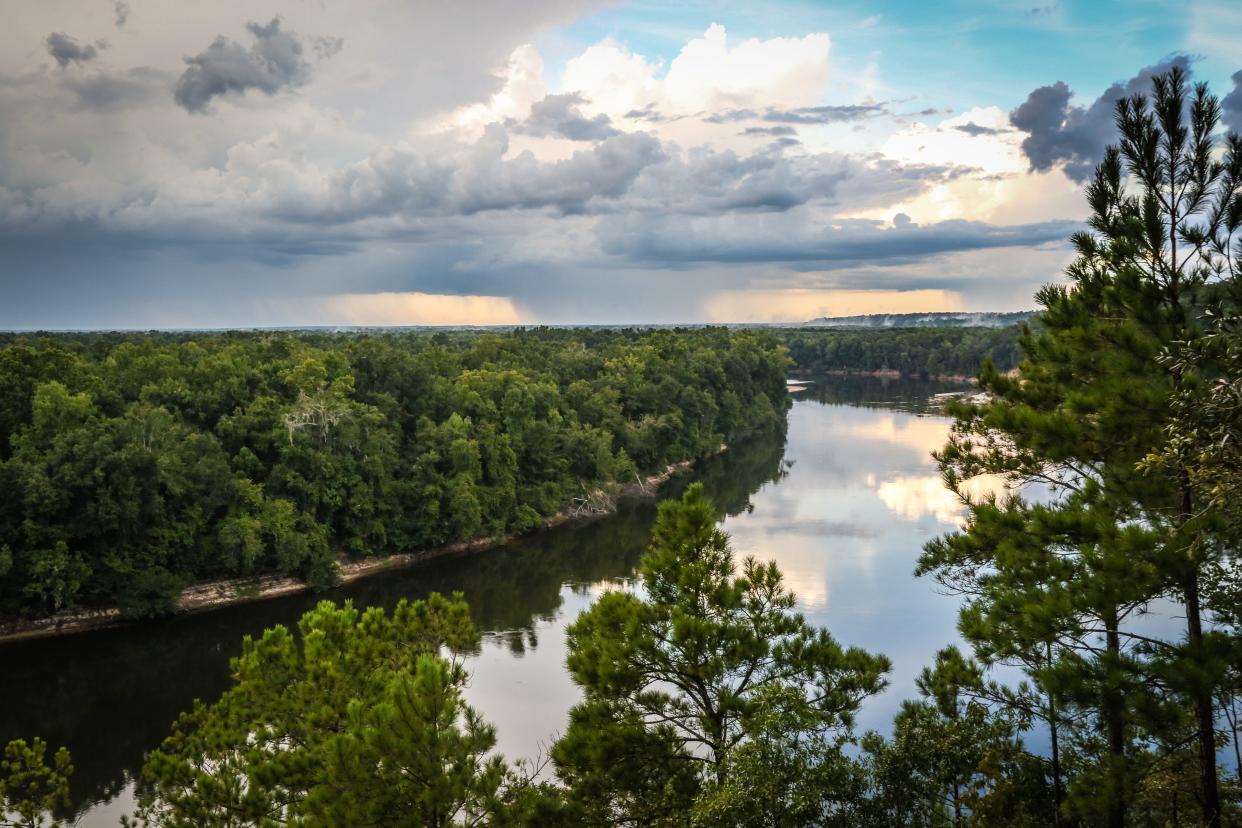 Scenic images of Apalachicola Bluffs and Ravines Preserve, featured in "Wild Florida" episode.