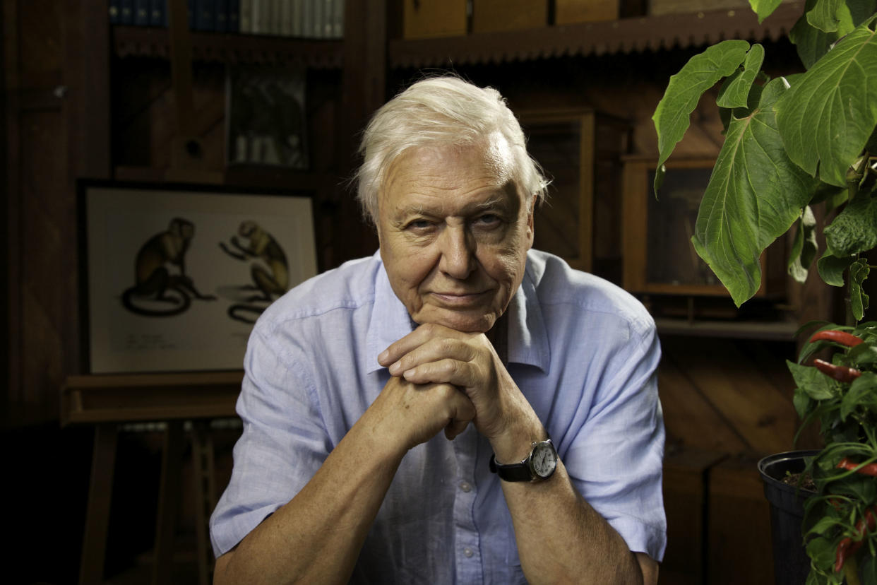 Sir David Attenborough (BBC)