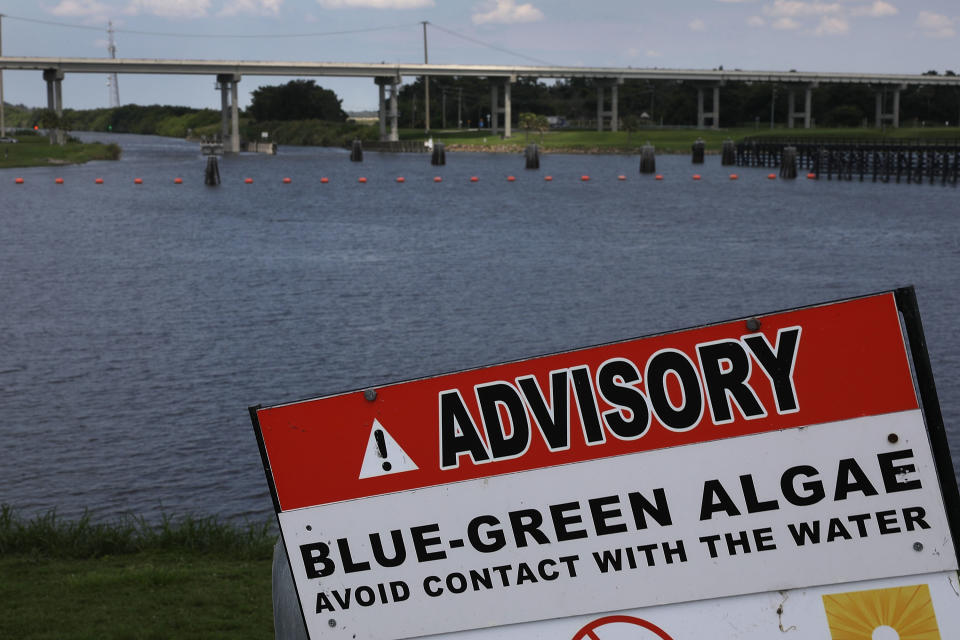 A sign warns of Blue-Green algae in the water near the Port Mayaca Lock and Dam on Lake Okeechobee on July 13. (Photo: Joe Raedle via Getty Images)