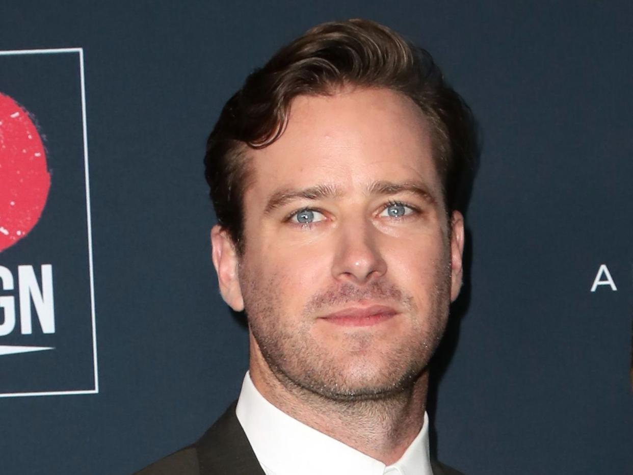 Actor Armie Hammer (David Livingston/Getty Images)