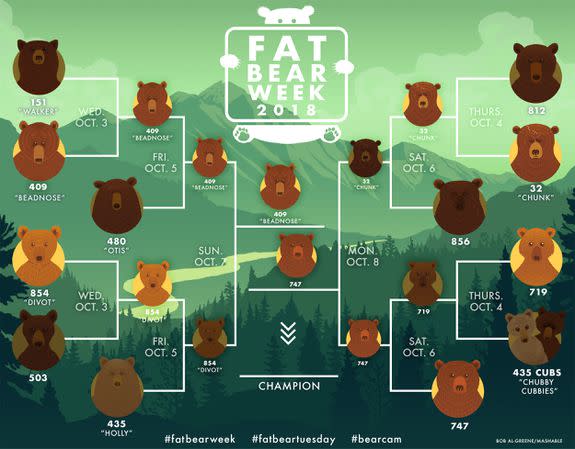 The Fat Bear Week finals are on.