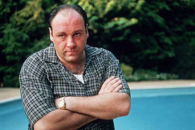 <p>Anthony Neste/Getty</p> James Gandolfini starred on 'The Sopranos' from 1999 to 2007.