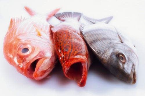 You CAN Buy Good Fish at the Supermarket