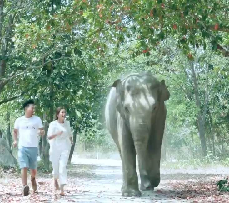 傅嘉莉《3日2夜》金邊激凸水着派福利 《識玩旅行團》後再度曬身材