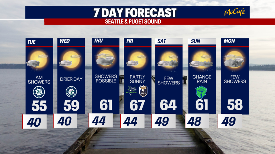 <div>7 DAY FORECAST</div>